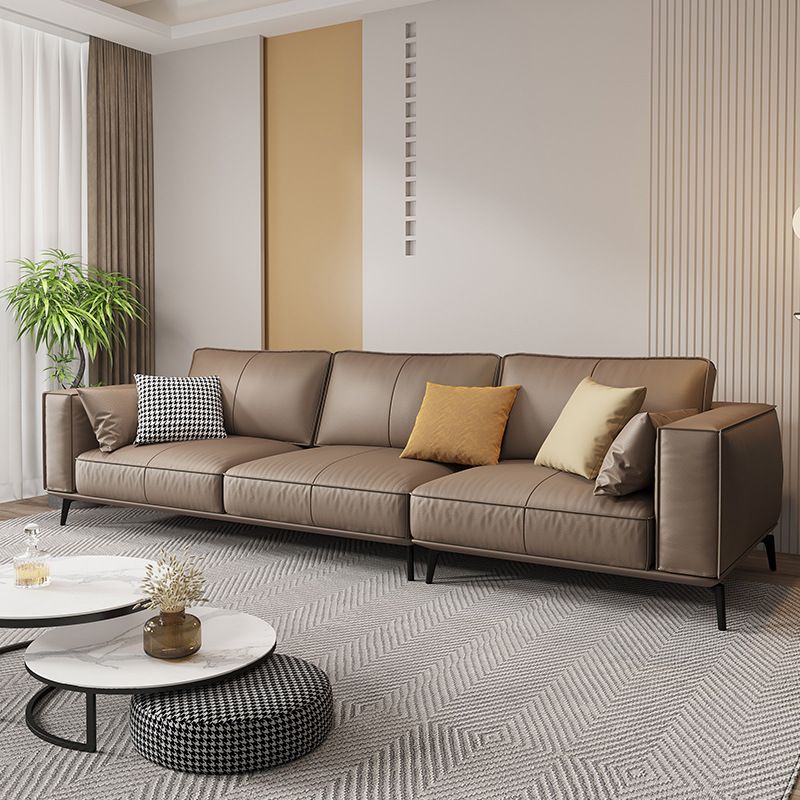 Standard Sofa in Sepia with Arm and 5 Pillows/1 Pillow