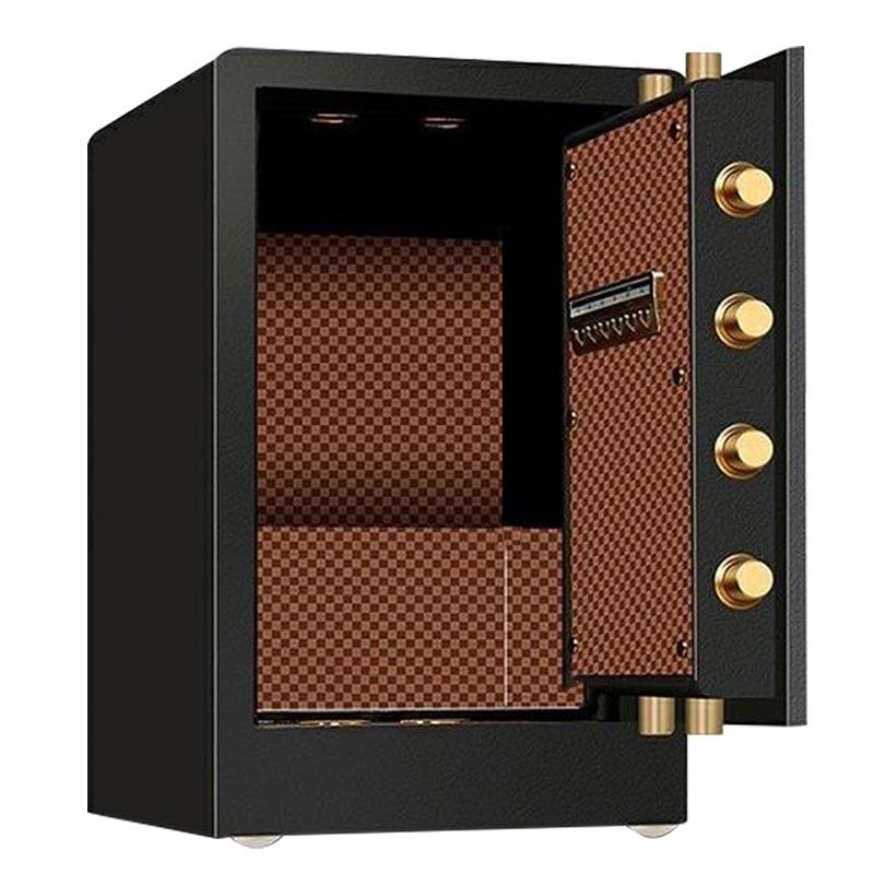 Steel Security Safe with Battery, Pry Resistant, Lockable with Keys and Interior