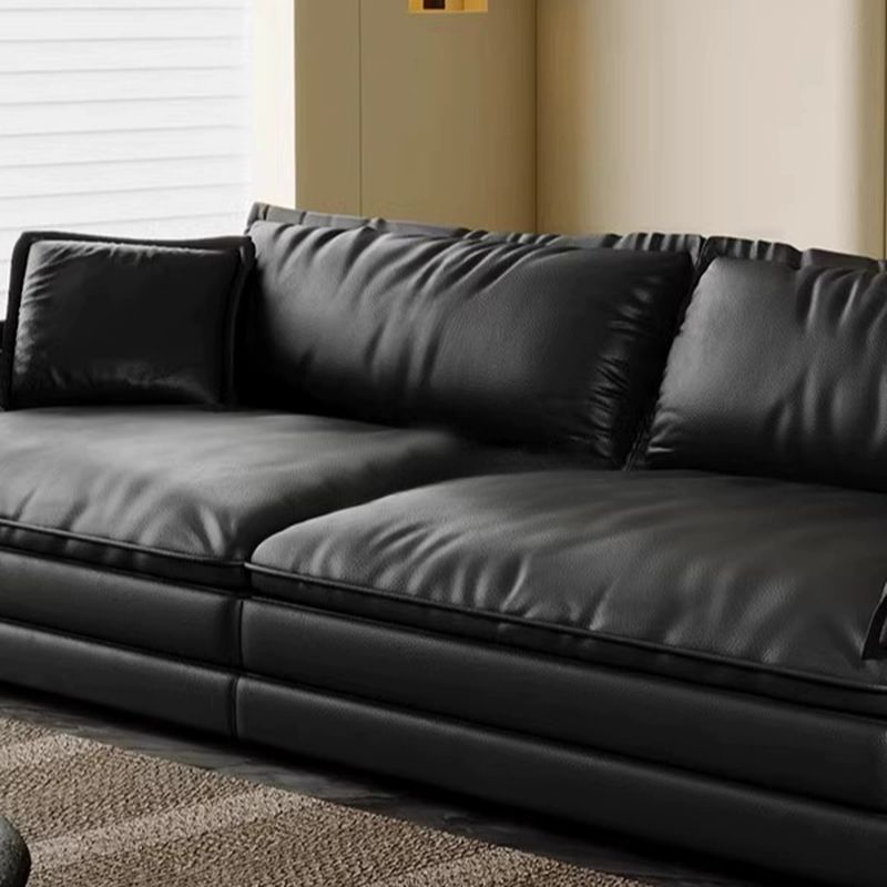 Modish Solid Color Stain Resistant Standard/Single Sofa in Black for 4/3/5 Person with 2 Pillows