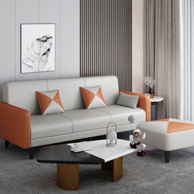 Drawing Room Gray/Light Brown/Off-White Standard Sofa with Armrest