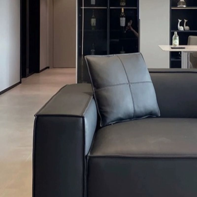 Drawing Room Standard Sofa/Single Sofa in Midnight Black with Armrest and 3 Pillows/1 Pillow