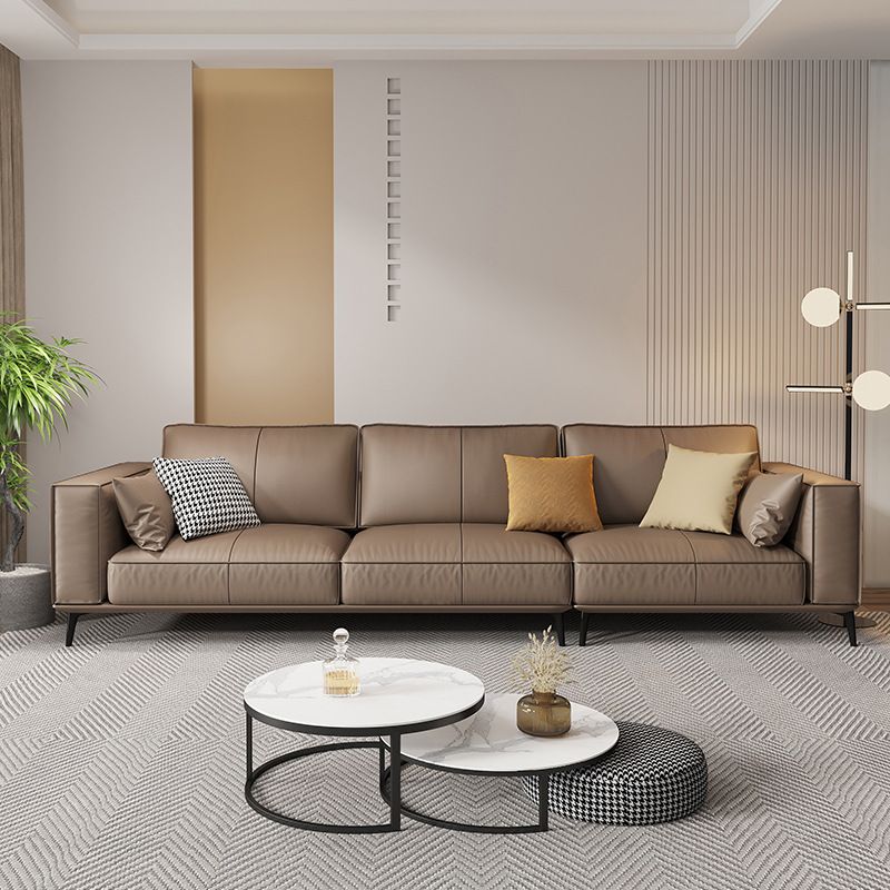 Standard Sofa in Sepia with Arm and 5 Pillows/1 Pillow