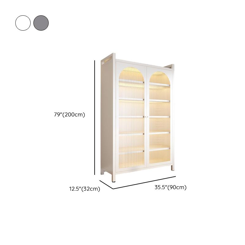 Vertical Steel Shelf Organizer with 6 Shelves and Lucite Door, Closed Back