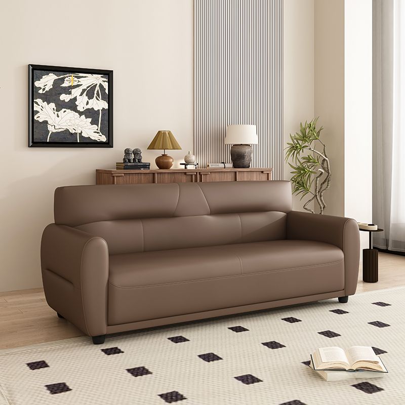 Dark Gray/Sage/Off-White Standard Sofa with Armrest for Drawing Room