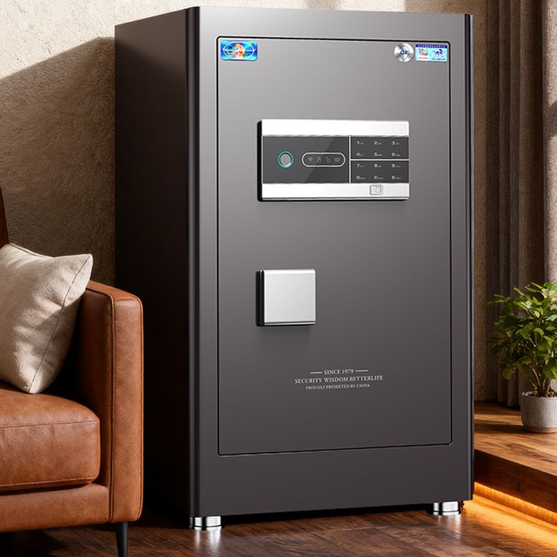 Steel Security Safe with Battery, Pry Resistant and Lockable Features, Includes Keys, Interior Lining, and Shelves