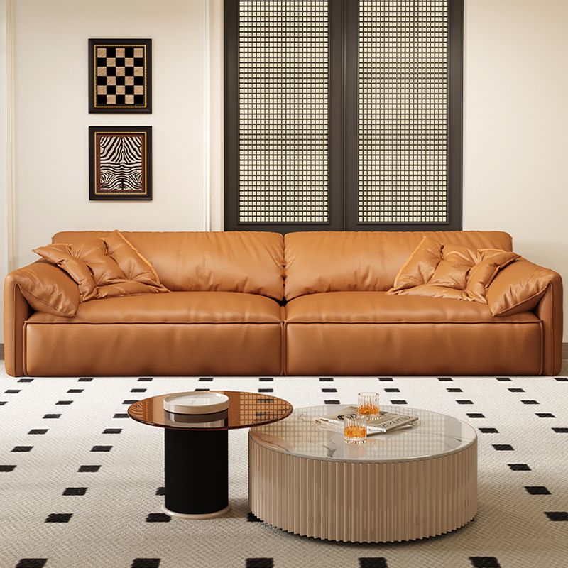 Modish Solid Color Water Resistant Standard Sofa/Single Sofa in Light Brown with 4-seater/5 Person/1 Person Capacity and 2 Pillows/1 Pillow