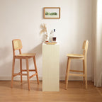 Casual Bar Stools in Midnight Black/Caramel/Natural Color with Cane Back Saddle Seat and Leg Rest