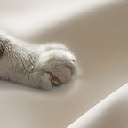 Trendy Scratch-immune Convertible Sofa in Light Gray/Light Blue/Olive Green with Arm, 4-seater/2 People/Seats 3, Receptacle Storage, and 2 Pillows