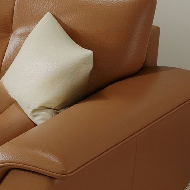 Modish Solid Color Scratch-immune Standard Sofa/Loveseat/Single Sofa in Light Brown with 5 Person/4-seater/6-Seater Capacity, Pillow Top Arm, and 2 Pillows/1 Pillow