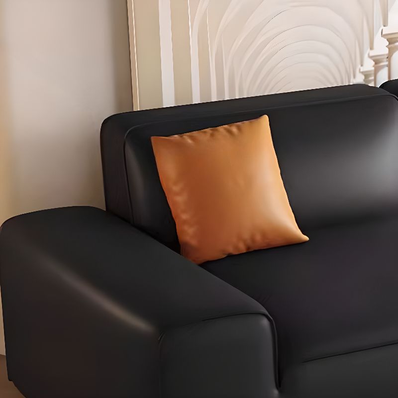 Midnight Black/White Standard Sofa/Loveseat with Armrest for Drawing Room
