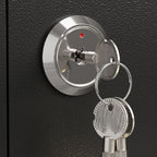 Steel Security Safe, Pry Resistant and Lockable with Keys