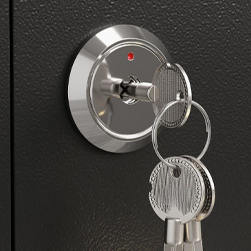 Steel Security Safe, Pry Resistant and Lockable with Keys