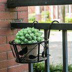 1 Tier Rounded Metal Plant Rack with 1 Shelf and Bordered Base