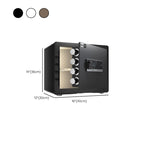Steel Security Safe with Battery, Pry Resistant, Lockable, Keys, Interior Lining, and Shelves