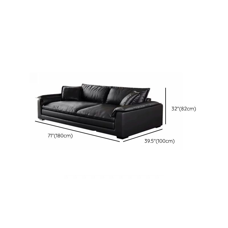 Modish Solid Color Stain Resistant Standard/Single Sofa in Black for 4/3/5 Person with 2 Pillows