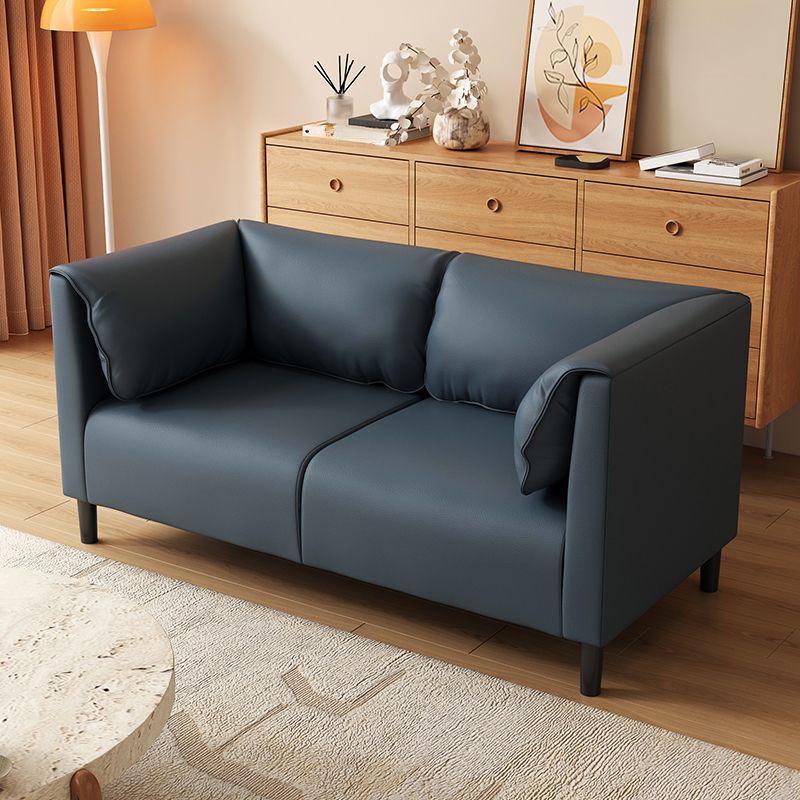 Contemporary Modern Solid Color Stain Resistant Loveseat in Navy Blue/Sage/Amber Color with 2 Pillows, 2-seater
