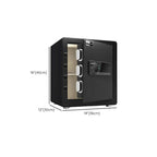 Steel Security Safe with Battery, Pry Resistant, Lockable, Keys, Interior Lining, and Shelves