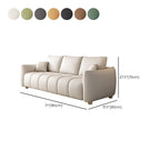 Modish Solid Color Stain Resistant Standard Sofa with Arm, 3-seater, and 2 Pillows