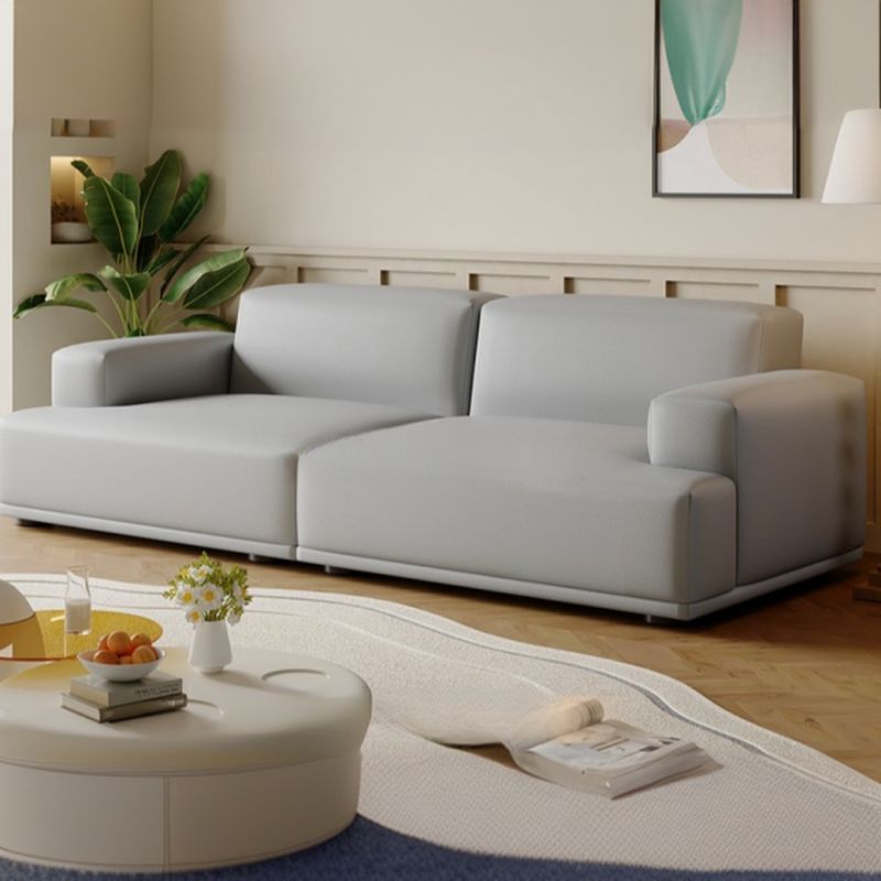 Modish Solid Color Stain Resistant Standard Sofa in Light Gray/Rose/Amber Color, 3-seater/4-seater/5 Person with 2 Pillows