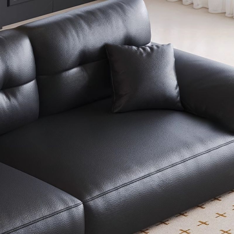 Modish Solid Color Scratch-immune Standard Sofa in Black with 5 Person/6-Seater/4-seater Capacity, Pillow Top Arm, and 2 Pillows