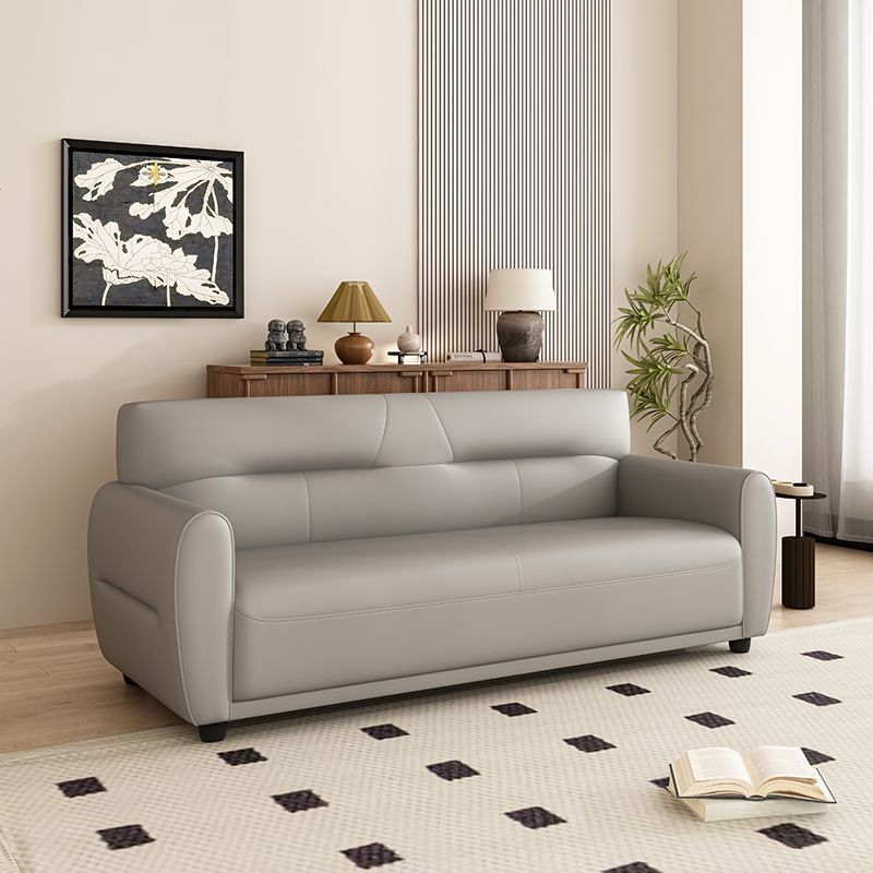 Dark Gray/Sage/Off-White Standard Sofa with Armrest for Drawing Room