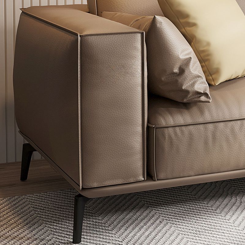 Standard Sofa in Sepia with Arm and 5 Pillows/1 Pillow