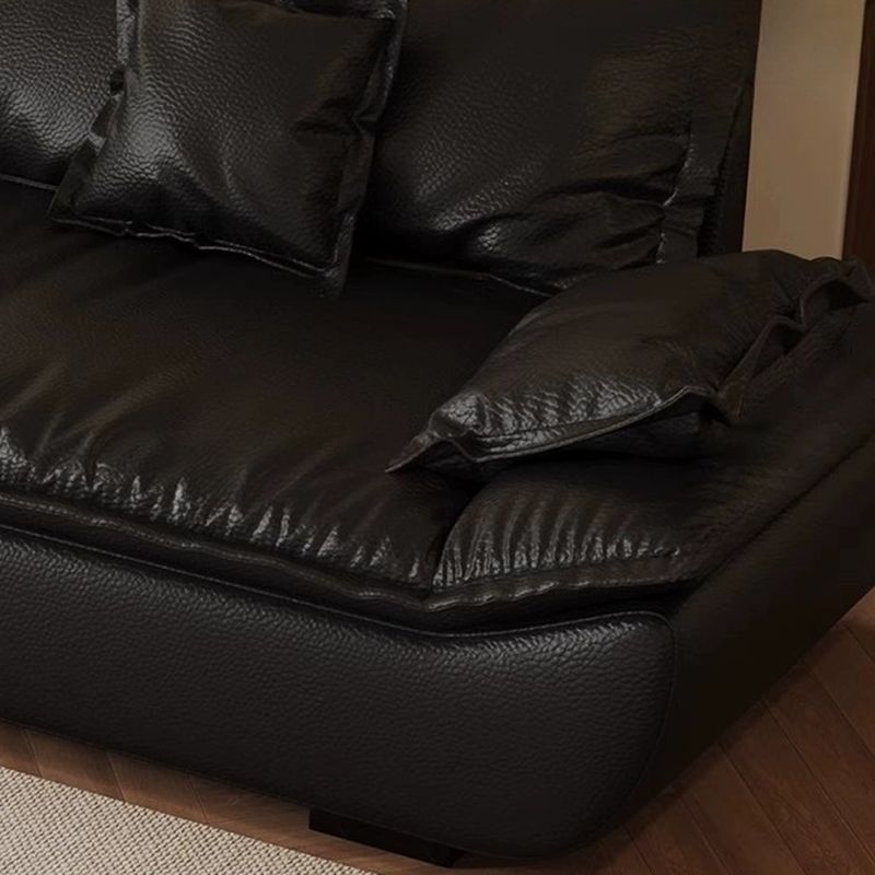 Contemporary Modern Solid Color Stain Resistant Standard Sofa/Single Sofa in Midnight Black with Seats 4/Seats 3/2-seater and 2 Pillows
