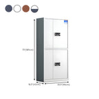 Elegant Modern Steel Filing Cabinet with Lock, Large Size & Adjustable Shelves