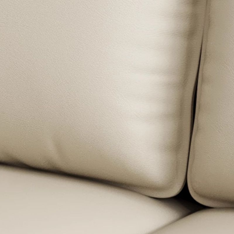 Versatile Standard Sofa/Loveseat/Single Sofa with Loose Back in Olive Green/Amber Color/Coffee and Arm