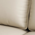 Versatile Standard Sofa/Loveseat/Single Sofa with Loose Back in Olive Green/Amber Color/Coffee and Arm