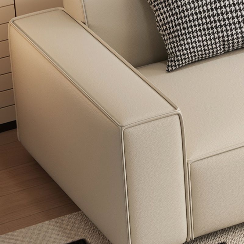 Drawing Room Standard Sofa in Dark Gray/Coffee/Off-White with Armrest and 4 Pillows