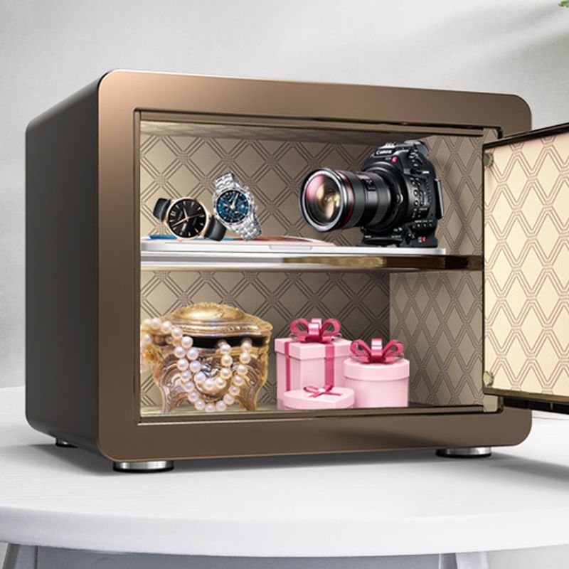 Steel Pry Resistant Security Safe with Lockable Keys, Interior Lining, and Shelves
