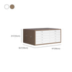 Art Deco Steel Non-flammable Horizontal Filing Cabinet/Vertical Filing Cabinet with Soft Close and Key Lock