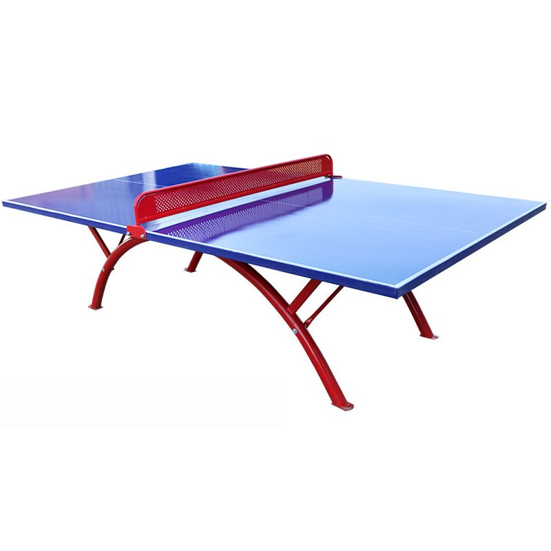 Versatile Indoor and Outdoor Cerulean Ping Pong Table with Freeze Resistant Features and Included Table Tennis Paddle