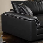 Modish Solid Color Stain Resistant Standard/Single Sofa in Black for 4/3/5 Person with 2 Pillows