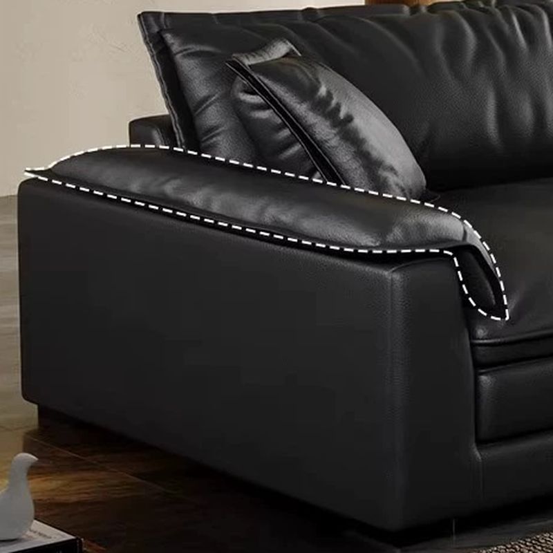 Modish Solid Color Stain Resistant Standard/Single Sofa in Black for 4/3/5 Person with 2 Pillows