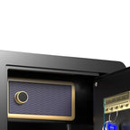 Steel Security Safe with Battery, Lockable with Keys and Shelves