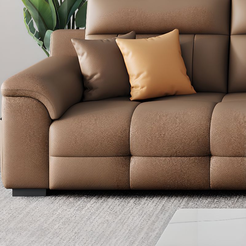Contemporary Modern Solid Color Water Resistant Standard Sofa in Light Brown, 4-seater with 2 Pillows