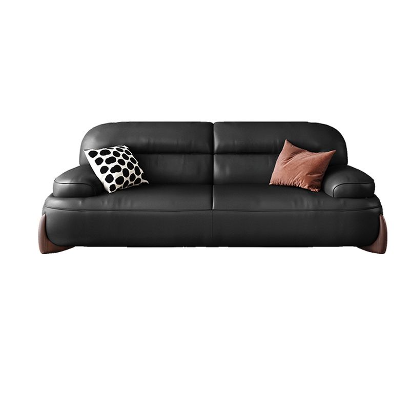 Modern Solid Color Scratch-defiant Standard Sofa in Black/Auburn, Seats 2 with 2 Pillows