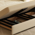 Scratch-immune Stitch-tufted Sleeper Futon Bed with Tufted Back, Container Storage, Pillow Top Arm, Pillow, and California King/King/Queen Size
