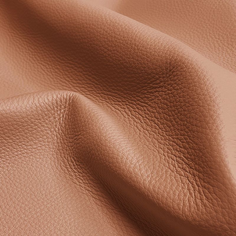 Modern Solid Color Scratch-defiant Standard Sofa in Black/Auburn, Seats 2 with 2 Pillows