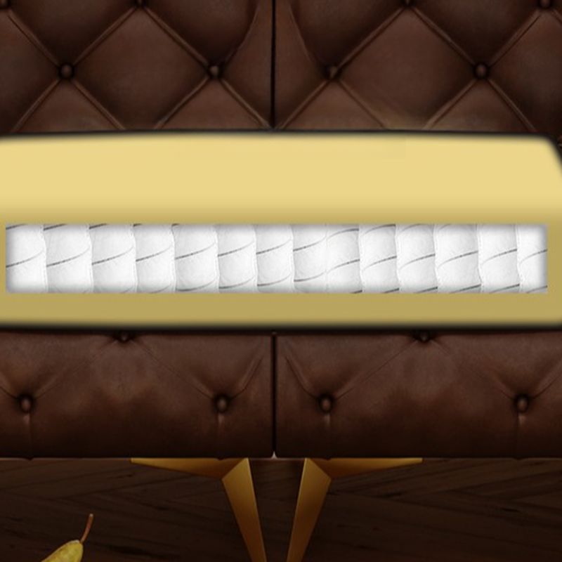 Drawing Room Standard Sofa in Genuine Leather Black/Mocha/Coffee with Armrest and 4 Pillows