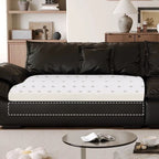 Contemporary Modern Solid Color Stain Resistant Standard Sofa/Single Sofa in Midnight Black with Seats 4/Seats 3/2-seater and 2 Pillows