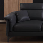 Standard Sofa/Loveseat in Black with Arm and 3 Pillows