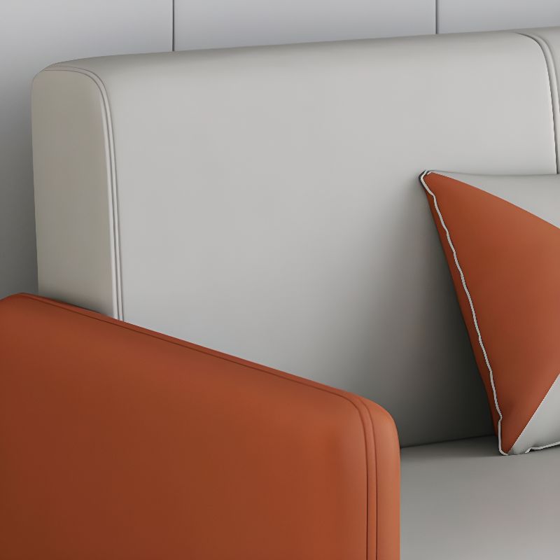Drawing Room Gray/Light Brown/Off-White Standard Sofa with Armrest
