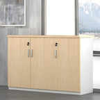 Modern Cabinet Wood with Locking Drawers and Storage Lateral File Cabinet