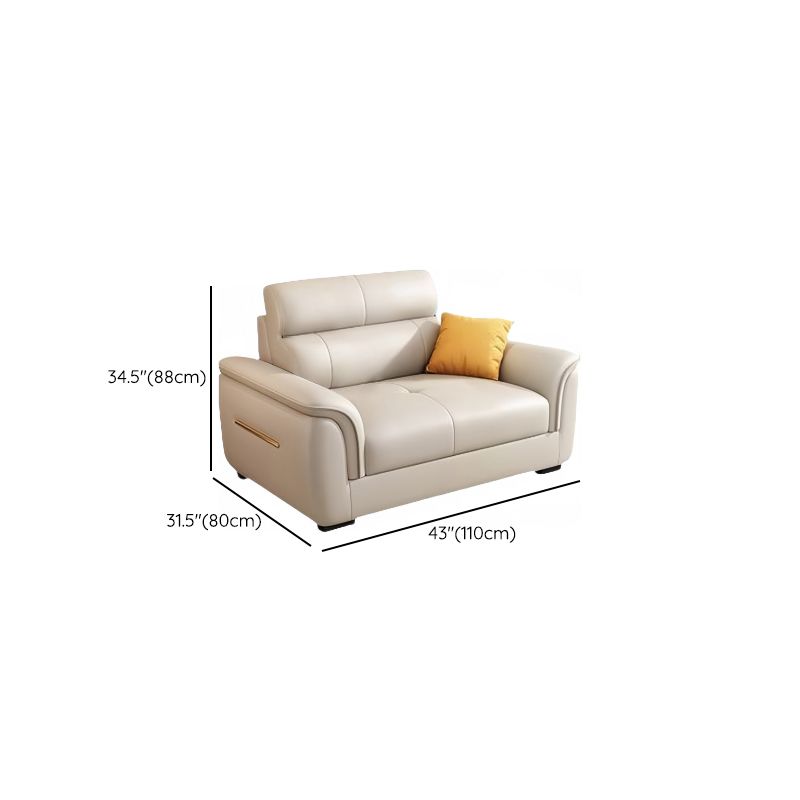 Modish Solid Color Stain Resistant Standard Sofa/Loveseat/Single Sofa in Beige with Arm, 4-seater/3-seater/6-Seater