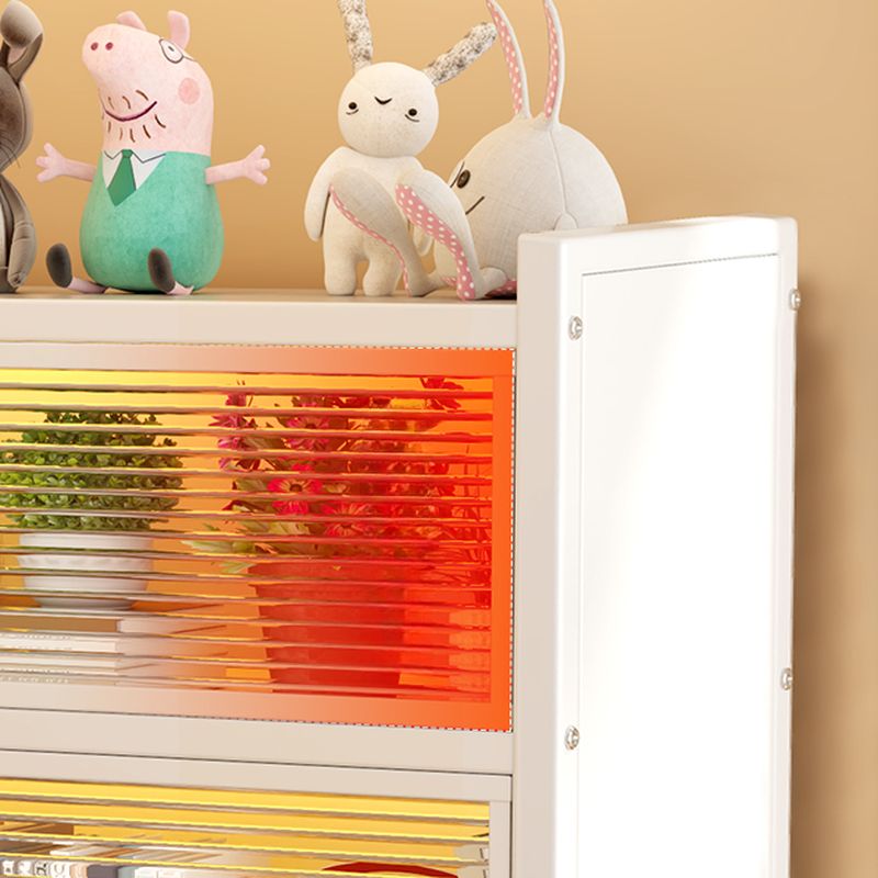 Steel Vertical/Horizontal Shelf Organizer with 6 Shelves and Lucite Door, Closed Back
