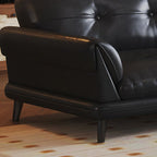 Contemporary Modern Solid Color Stain Resistant Standard Sofa/Loveseat/Single Sofa in Midnight Black, Seats 3/Seats 4/2-seater with 2 Pillows