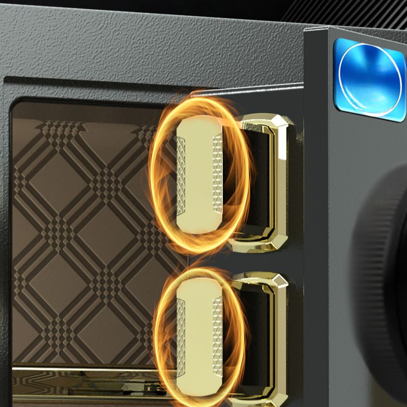 Steel Security Safe with Battery, Pry Resistant, Lockable with Keys, Interior Lining and Shelves